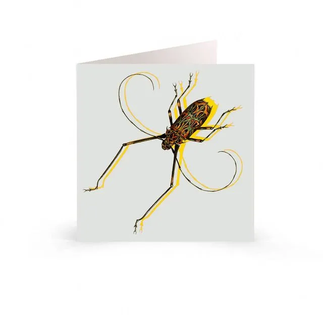 Greetings Cards: Wildlife and Insects - Jazzy Beetle