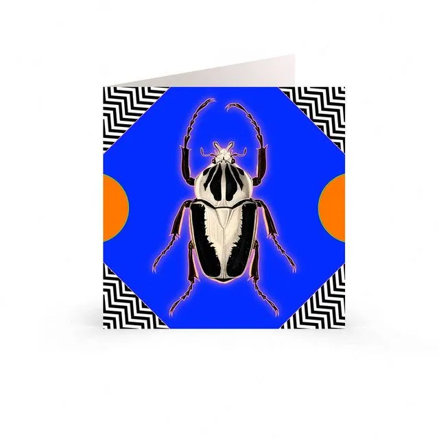 Greetings Cards: Geometric Insect Design - Beetle Mania