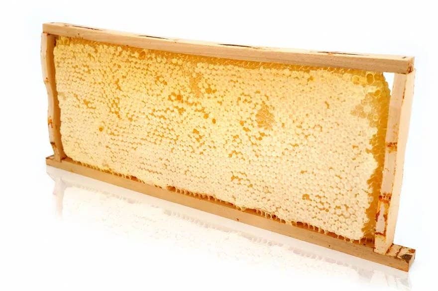Honeycomb entire frame