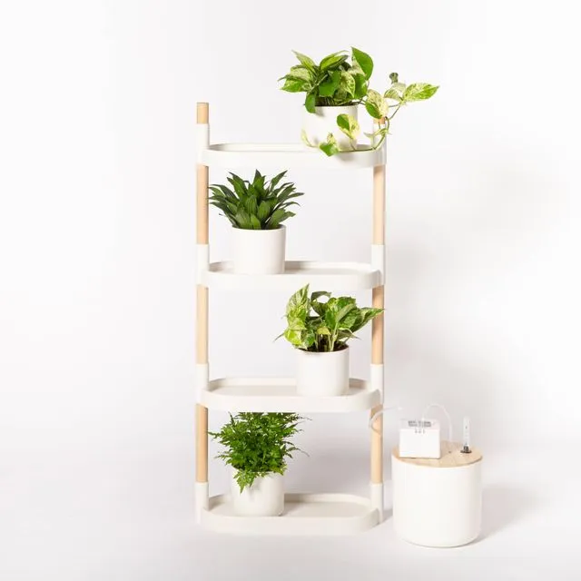 CitySens Self-Watering Modular Plant Shelves