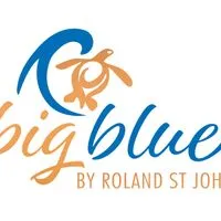 Big Blue by Roland St John