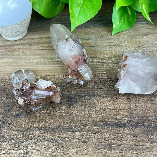 Wholesale Red Lemurian Cluster 3-4"
