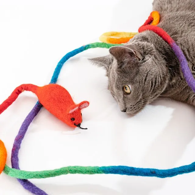 Catch a Mouse by the Tail: Wool Mouse Cat Toy With 6-Foot-Long Tail - Rainbow Tail