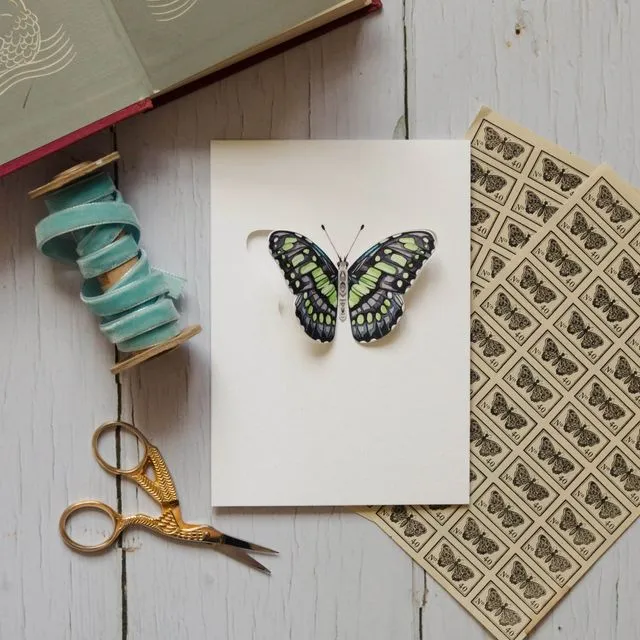 Green Malachite 3D Pop Out Butterfly Greetings Card