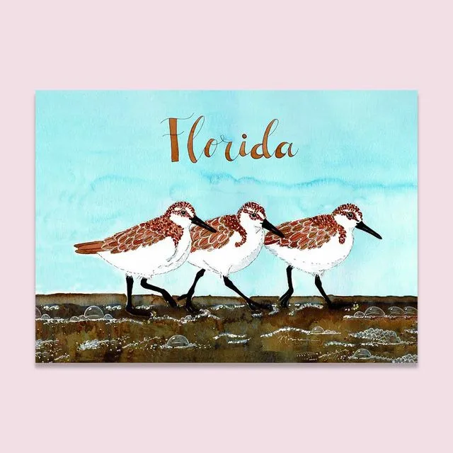 Florida 5x7 inch Greeting Card with Sandpipers Birds