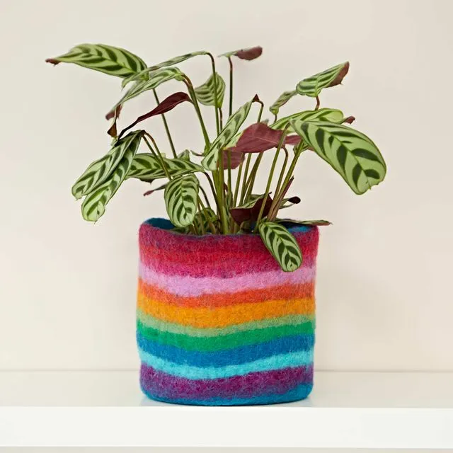 Felt Handmade Rainbow Plant Pot Cover