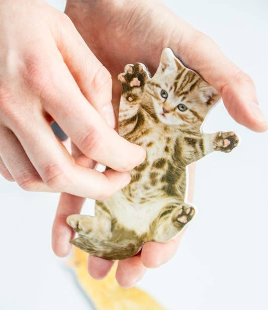 Cat Nail Files – Keep Your Nails in Purrrfect Condition