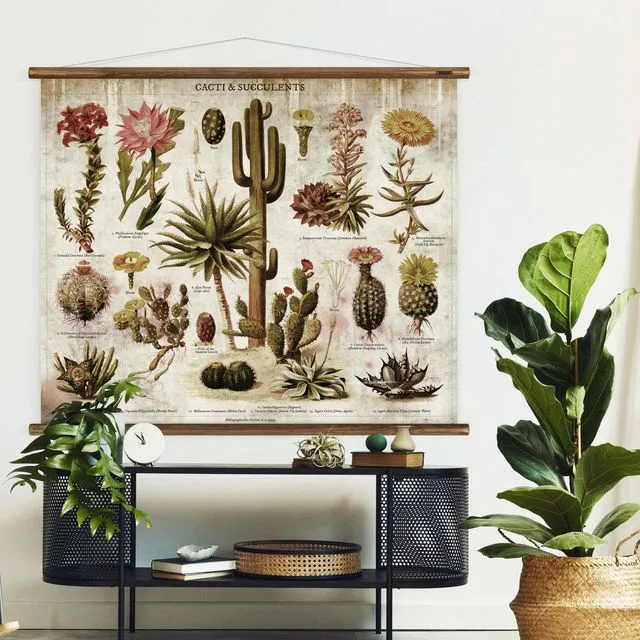 Cacti &amp; Succulents - Botanical Wall Chart