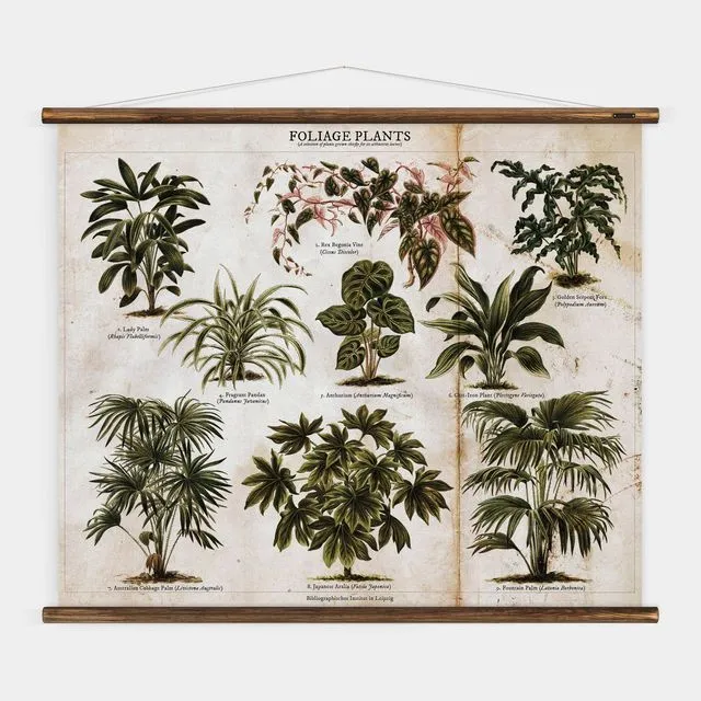 Foliage Plants - Botanical Wall Chart