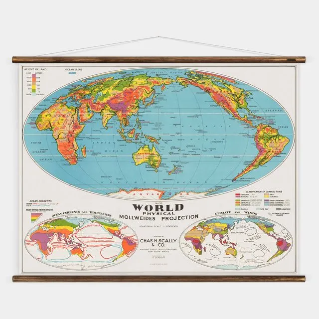 The World Physical - Wall Map