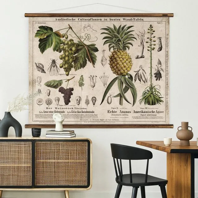 Wine &amp; Pineapple - Botanical Wall Chart