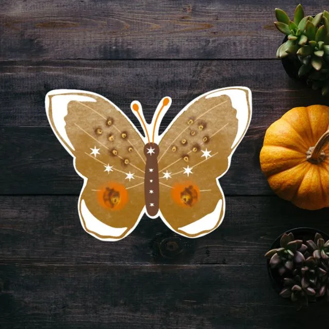 Brown Autumn Moth