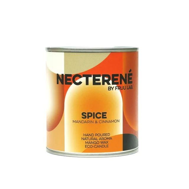 Spice Scented Candle (large)