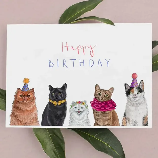 Party Cats Card | Funny Birthday Card | Greetings Cards