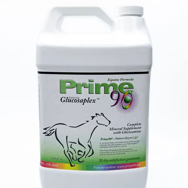 Equine liquid supplement - Gallon