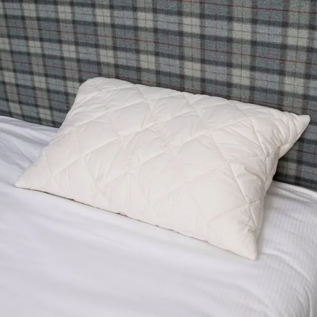 Wool Filled Pillow (set of 2)