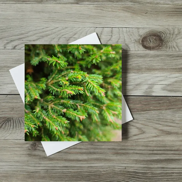 Greeting Card - Christmas - Christmas Tree