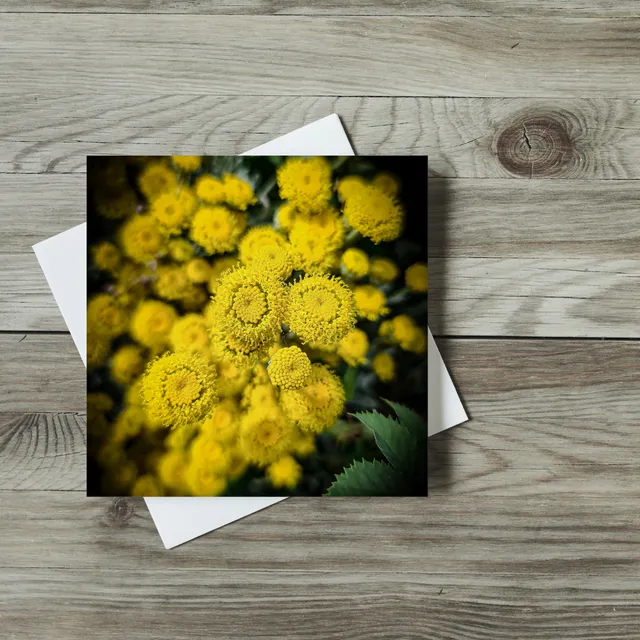 Greetings Card - Flowers - Happy yellow Flowers