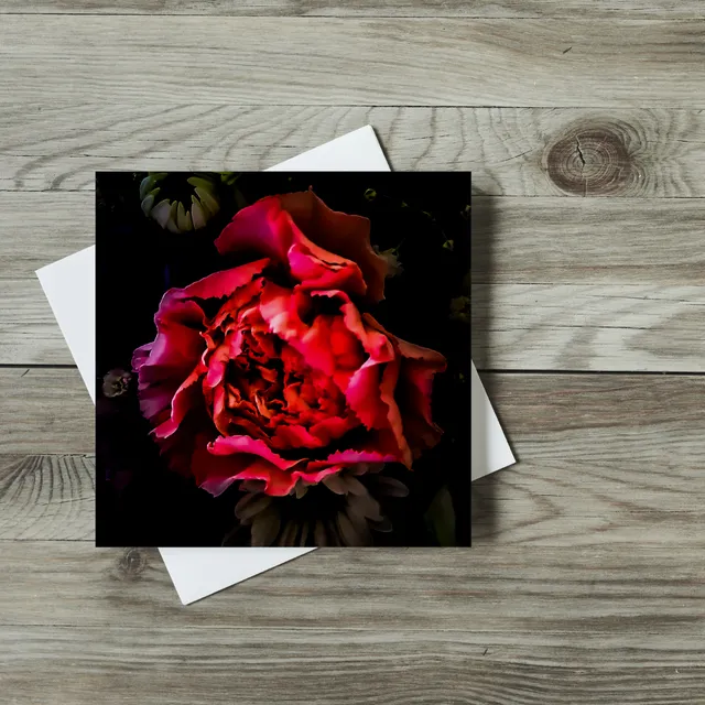 Greeting Cards - Flowers - Red Rose