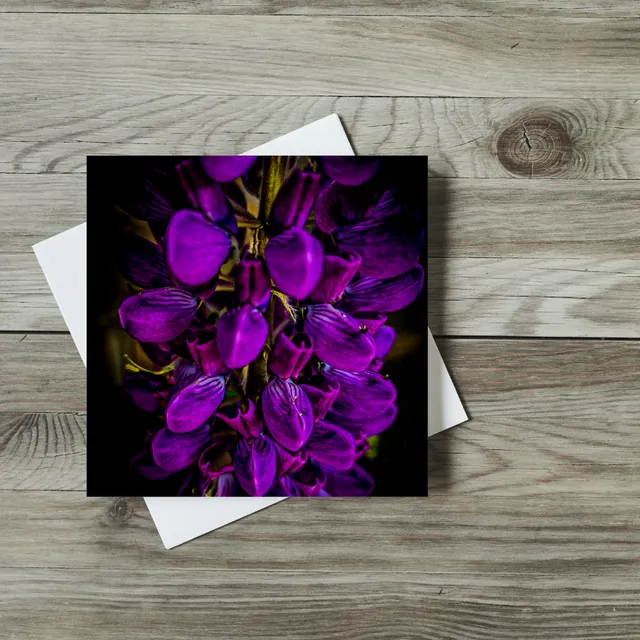 Greeting Cards - Flowers - Purple Flowers