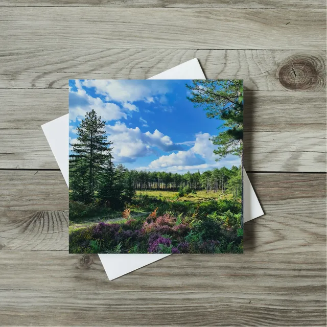 Greeting Card - Landscapes - Wareham, Forest