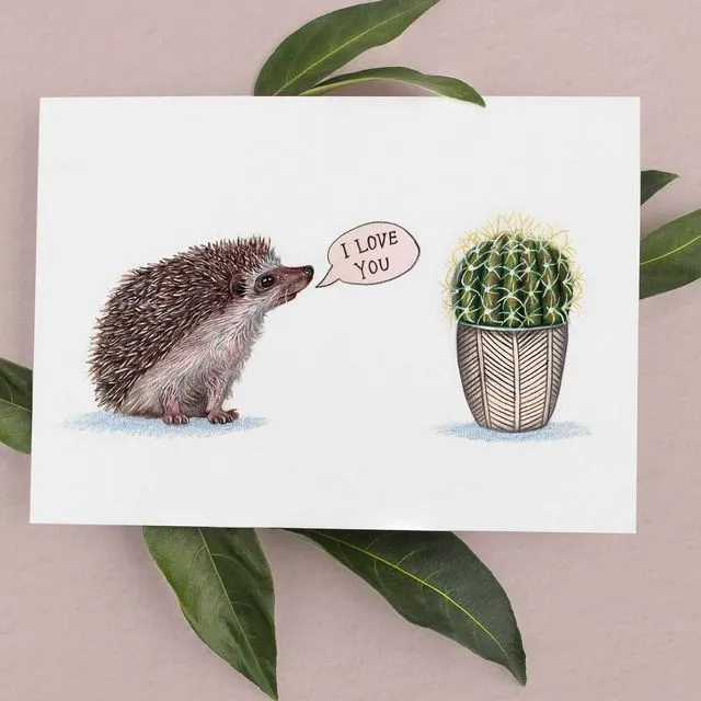 Hedgehog and Cactus