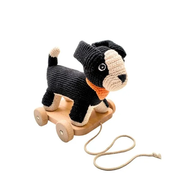 Baby Toy 2 in 1 Pull along sheepdog