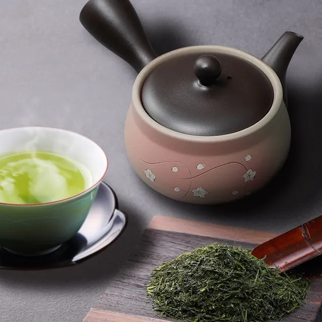 Tokoname Yaki - Kyusu - 9 fl Oz (270cc) Teapot for Fukamushi tea
