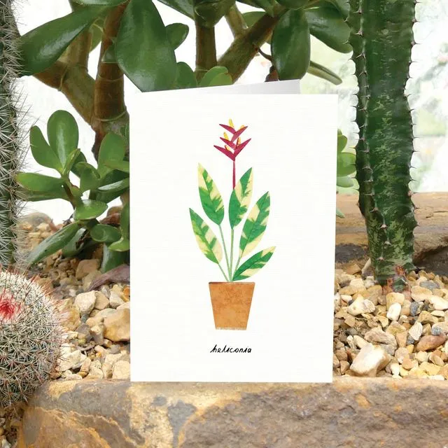 Heliconia Card