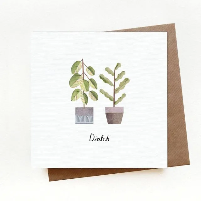 Thank You Plants Welsh Card