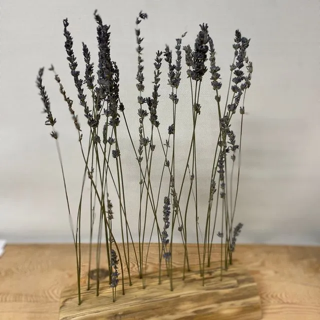 Lavender Flower Bar 30cm Reclaimed Spruce Dried Flower Wall or Table Display