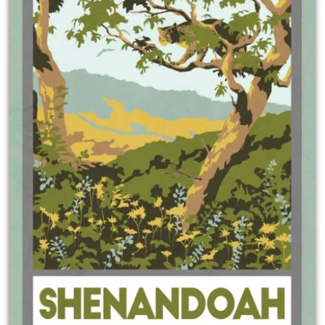 Shenandoah National Park | Retro Virginia Postcard Gift