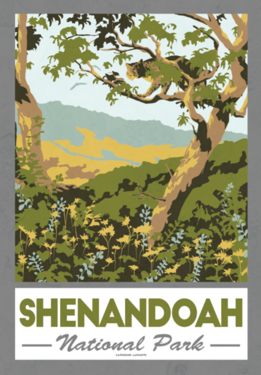 Shenandoah National Park | Virginia retro vinyl sticker