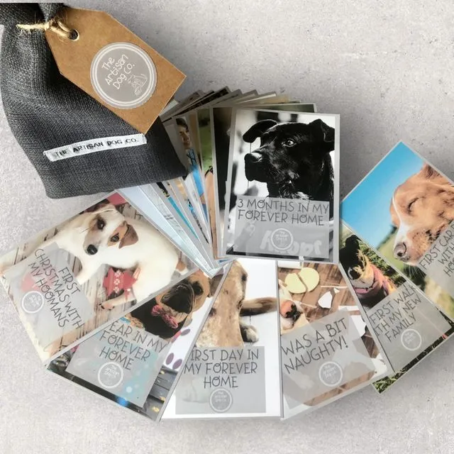New Dog Milestone Cards in Handmade Gift Bag