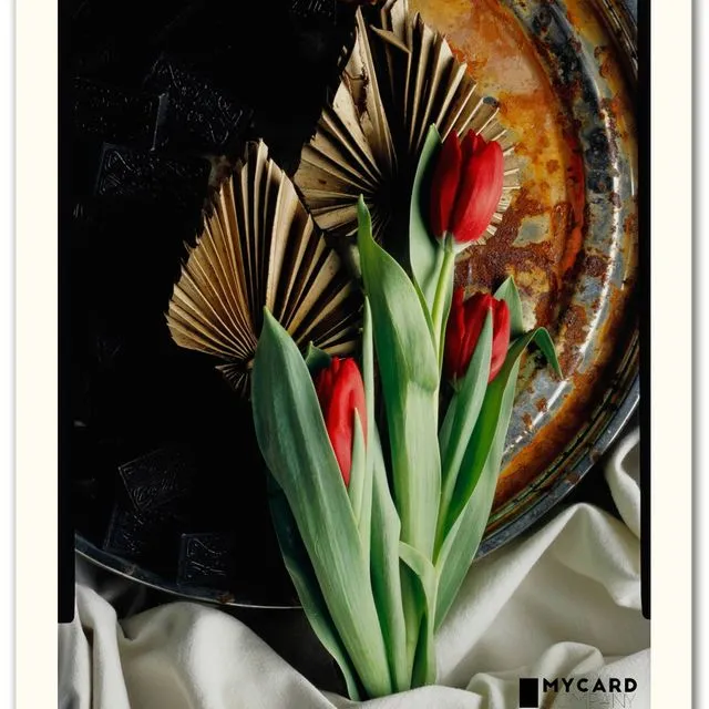 Artcard tulip with domino stones - film