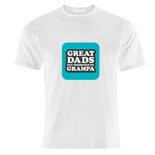 T-shirts 'PROMOTED TO GRAMPA'