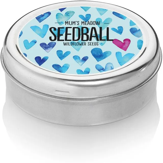 Mum's Meadow Seedball Tin