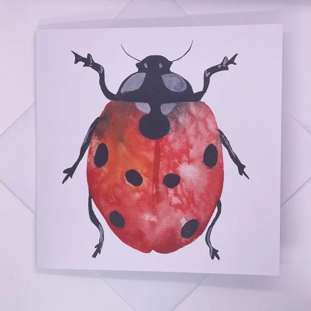 Ladybird Insect Watercolour Greetings Card