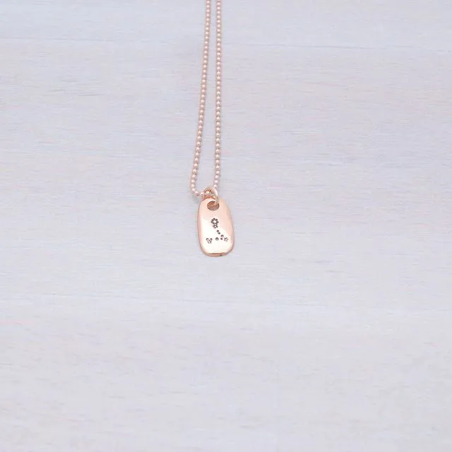Pisces Rose Gold Constellation Zodiac Necklace
