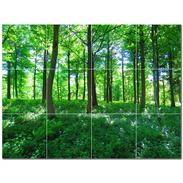 Trees Ceramic Tile Wall Mural PT501045. Many Sizes Available