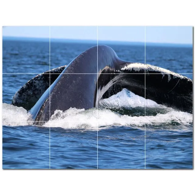 Whale Ceramic Tile Wall Mural PT501184. Many Sizes Available