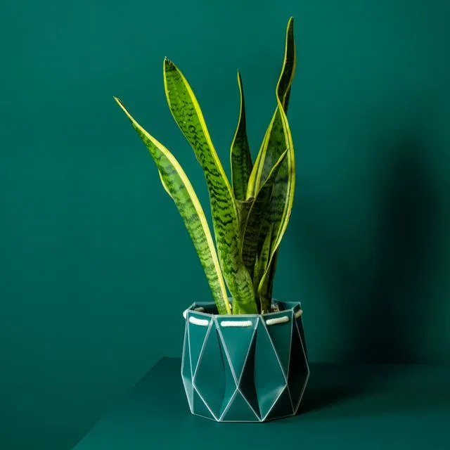 18cm Origami Self-Watering Eco Plant Pot | Dark Teal