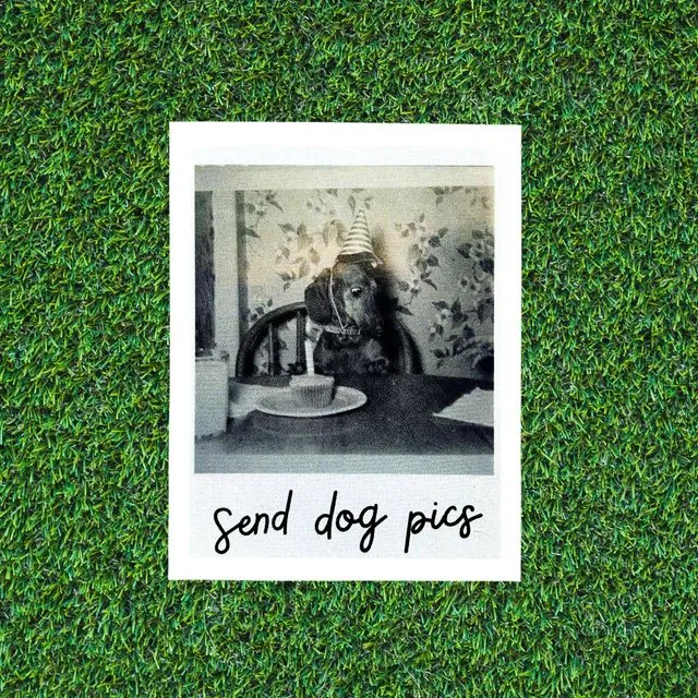 Send Dog Pics Sticker
