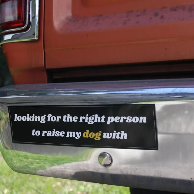 Looking For The Right Person Bumper Sticker
