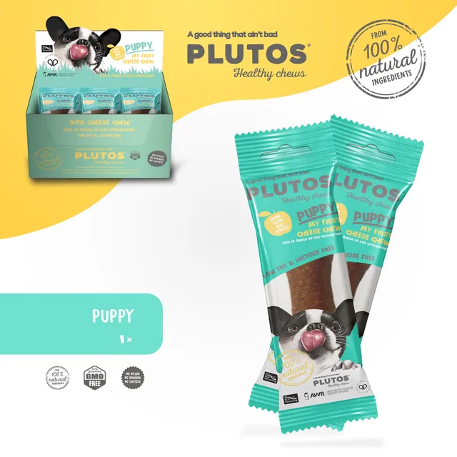 PLUTOS Puppies My first cheese chew (Box of 20)