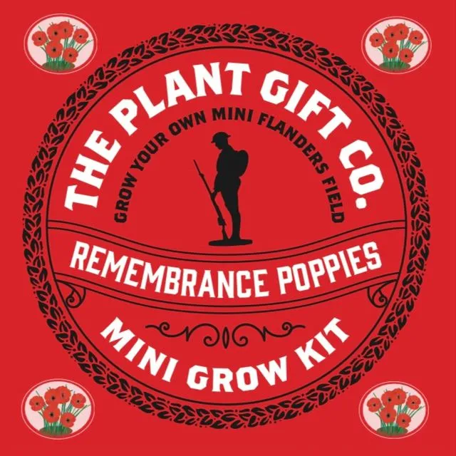 Remembrance Poppies Eco Grow Kit