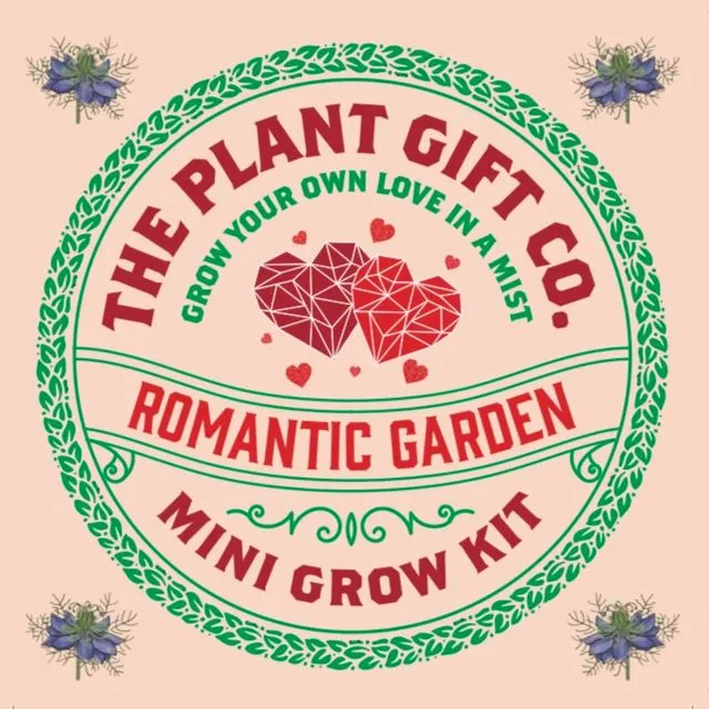 Romantic Garden Eco Grow Your Own Love In A Mist Kit