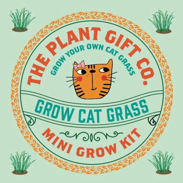 Grow Cat Grass Eco Grow Kit
