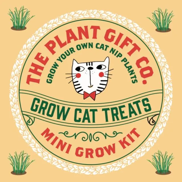 Grow Cat Treats Eco Cat Nip Grow Kit