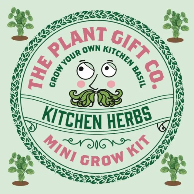 Kitchen Herbs Eco Grow Your Own Basil Kit